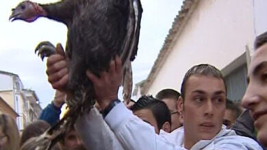 Multan con 2.000 euros a un vecino que lanzó a una pava desde un campanario