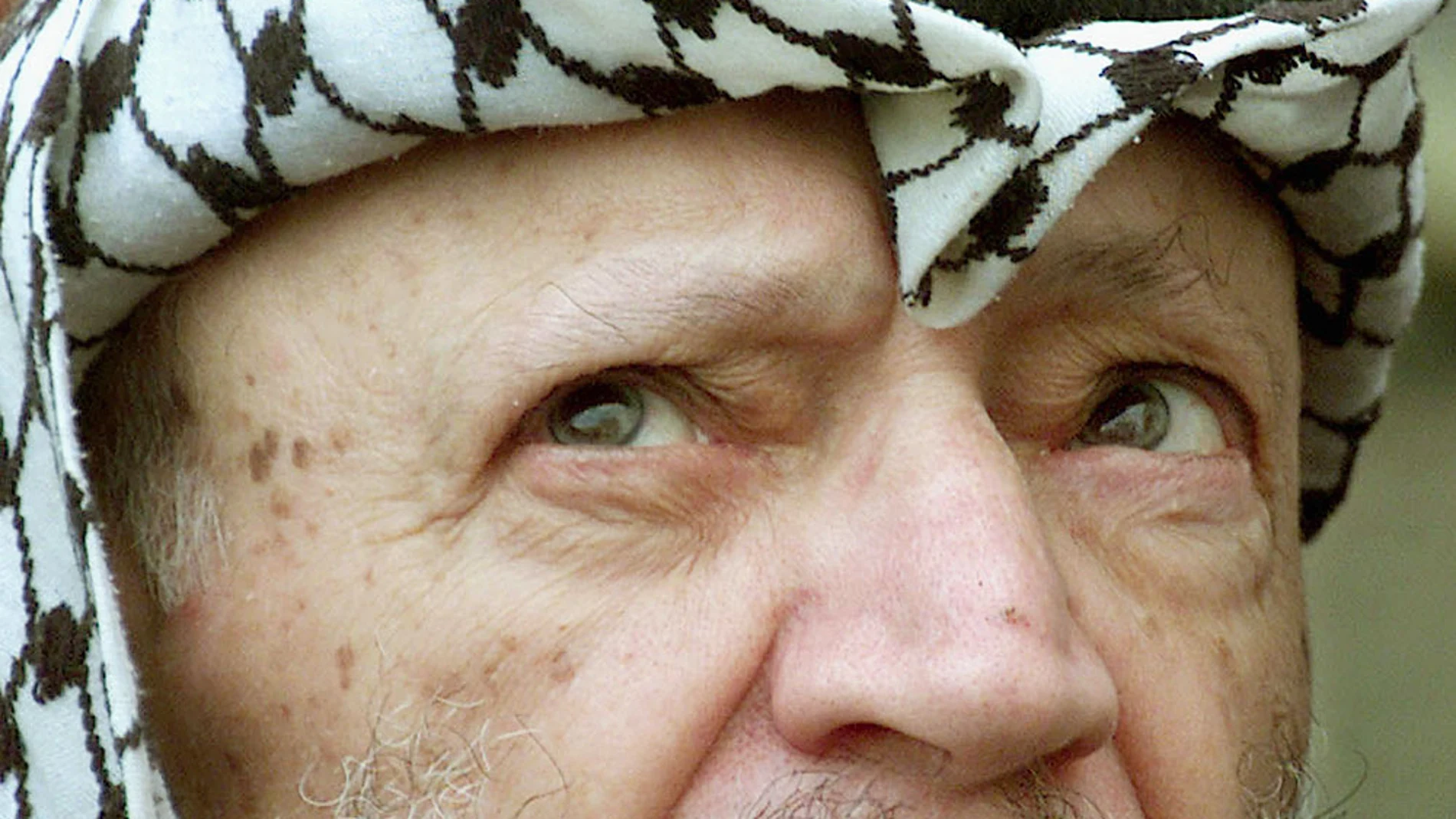 Yasir Arafat Yasir Arafat