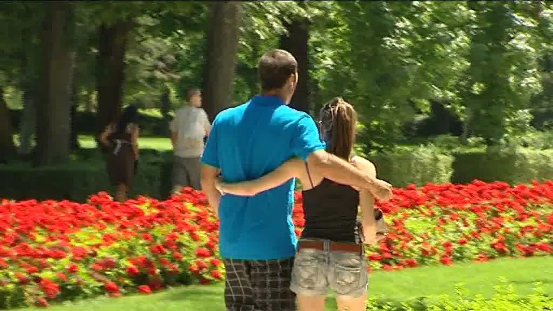 Pareja paseando en el parque Pareja paseando en el parque