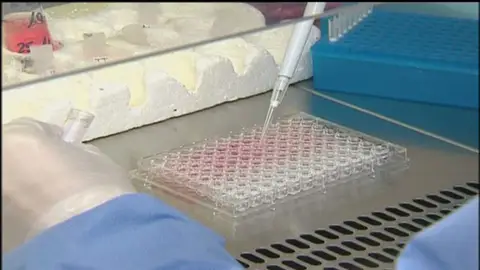 Investigadores desarrollando un fármaco Investigadores desarrollando un fármaco