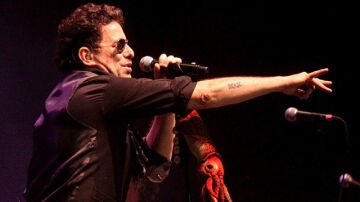 Andrés Calamaro, durante un concierto