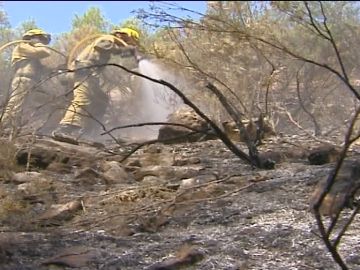 Bomberos extinguen un incendio