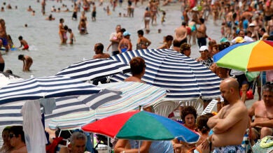 Prohíben temporalmente el baño en una playa de Elche después de que un bañista fuera mordido por un pequeño tiburón