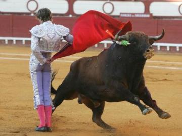 Un torero en una plaza de toros