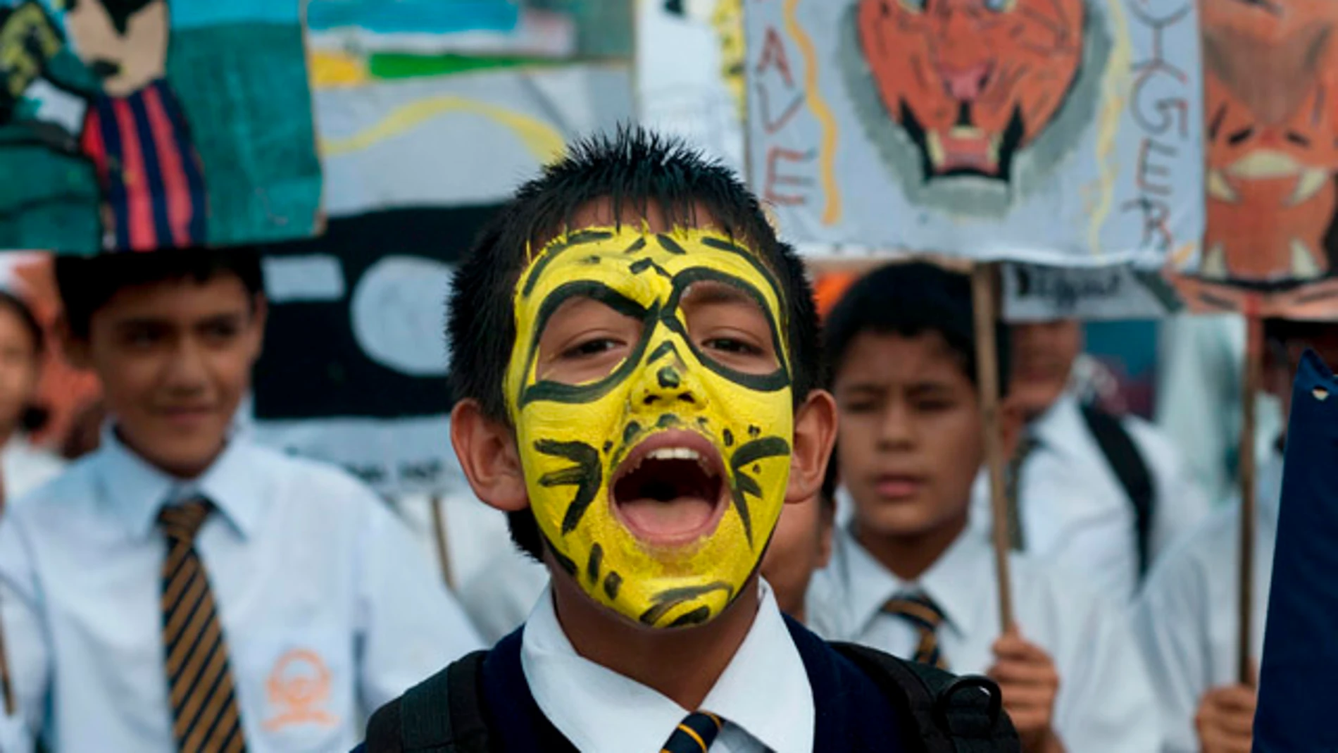 Un estudiante con la cara pintada de "tigre" Un estudiante con la cara pintada de "tigre"
