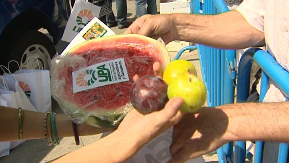 Reparto de fruta en madrid