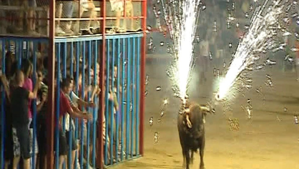 Los toros en festejos