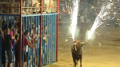 El toro en las fiestas populares