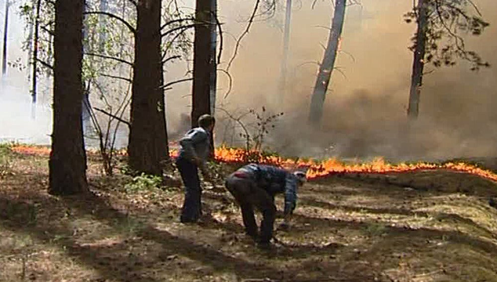 Incendios en Rusia