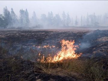 Incendios en Rusia Incendios en Rusia