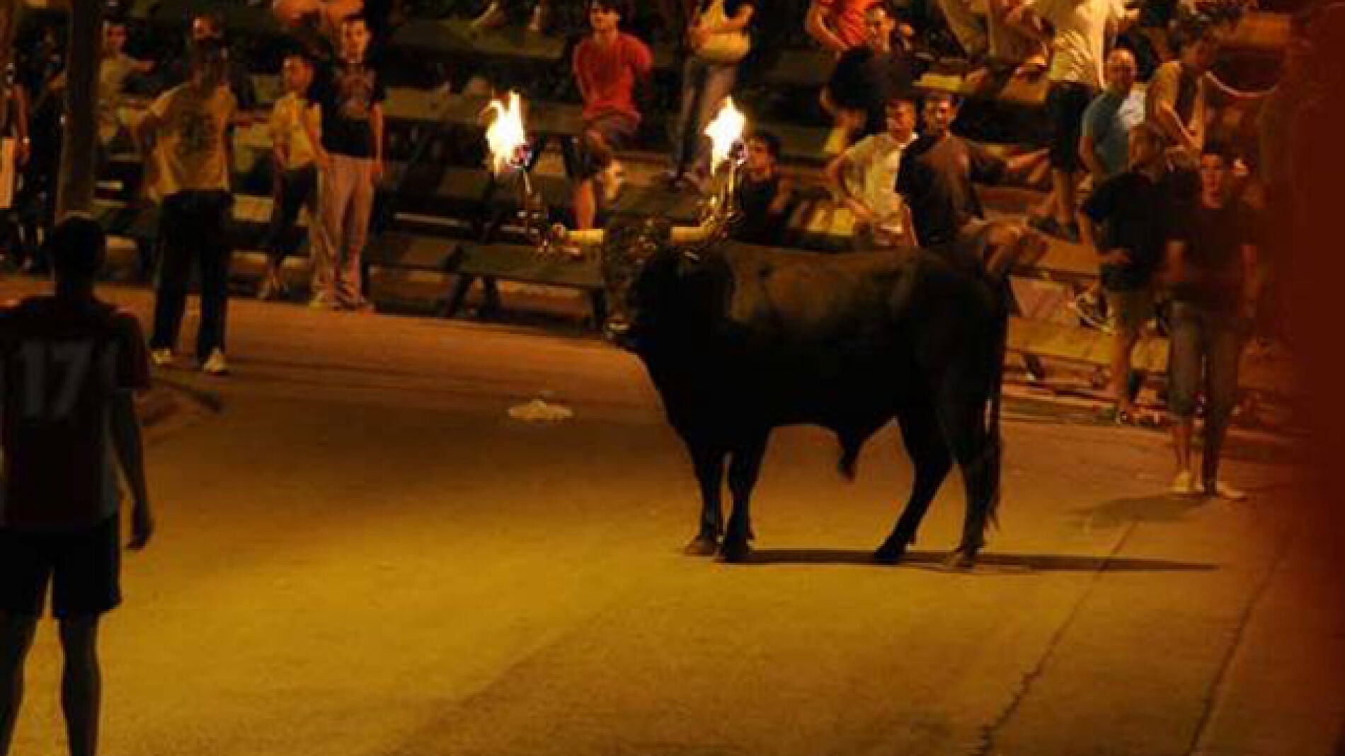 Imagen de archivo de un toro embolado