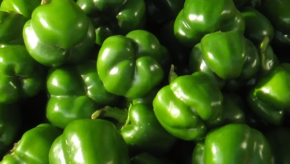 Pimientos verdes Pimientos verdes