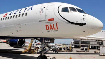 Avión con el 'mostacho' de Dalí