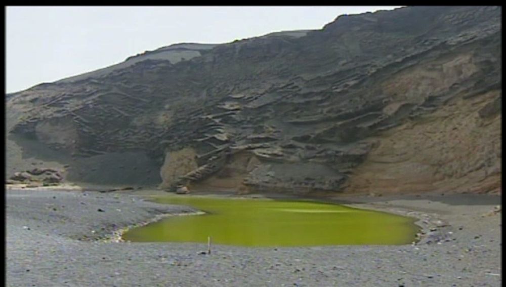 El charco de los Clicos en peligro por un insecto