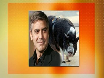 Famosos ricos
