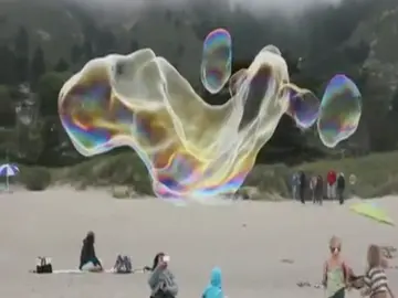 Pompas gigantes en California Pompas gigantes en California