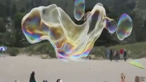 Pompas gigantes en California