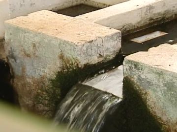 A FONDO LP (AGUA) A FONDO LP (AGUA)