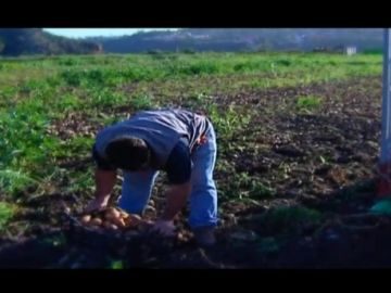 A FONDO LP (AGRICULTURA) A FONDO LP (AGRICULTURA)