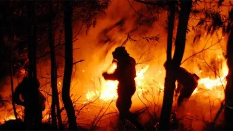 Miles de incendios en Bolivia Miles de incendios en Bolivia