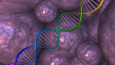 Los m&eacute;dicos advierten de una estafa cient&iacute;fica por Internet