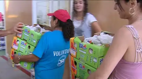 Actividad del banco de alimentos Actividad del banco de alimentos