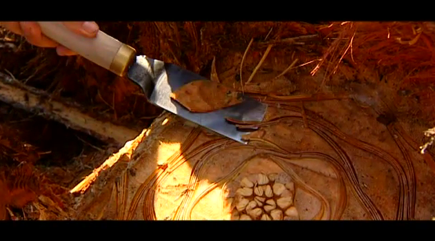 PROMO A FONDO LP (GUARAPEANDO) PROMO A FONDO LP (GUARAPEANDO)