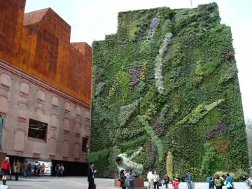 La solución de los jardines verticales La solución de los jardines verticales