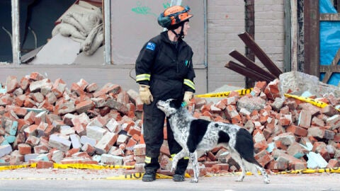 Los equipos de rescate buscan entre los escombros