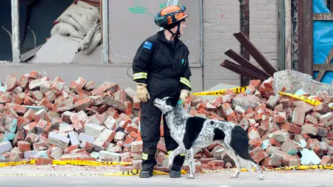 Los equipos de rescate buscan entre los escombros Los equipos de rescate buscan entre los escombros