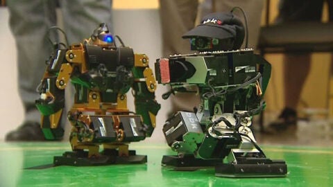 Robots humanoides que compiten como boxeadores