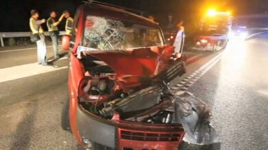 Colisión múltiple al intentar esquivar a varios caballos en Pontevedra