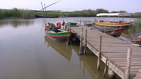 Imagen de l'Albufera de Valencia