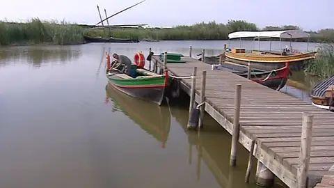 Imagen de l'Albufera de Valencia Imagen de l'Albufera de Valencia