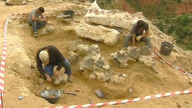 El rastro del dinosaurio más grande sobre la tierra está en Teruel