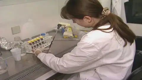 Vacuna de la gripe Vacuna de la gripe