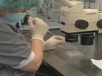 Selección de embriones para fecundación in vitro