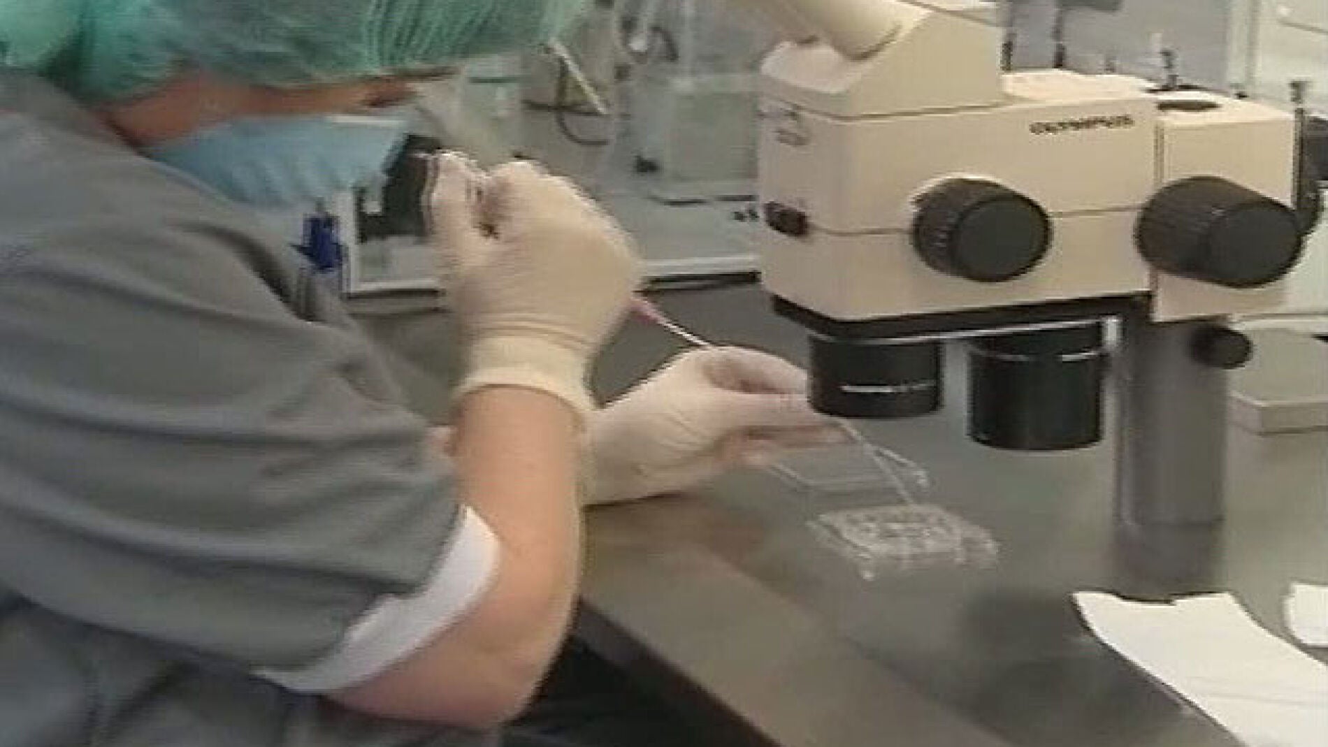 Selecci&oacute;n de embriones para fecundaci&oacute;n in vitro