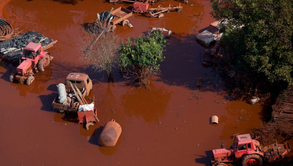 Greenpeace confirma la catástrofe ecológica en Hungría