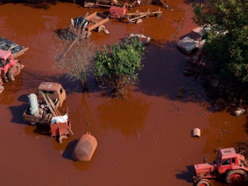 Greenpeace confirma la catástrofe ecológica en Hungría