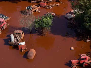 Greenpeace confirma la catástrofe ecológica en Hungría Greenpeace confirma la catástrofe ecológica en Hungría