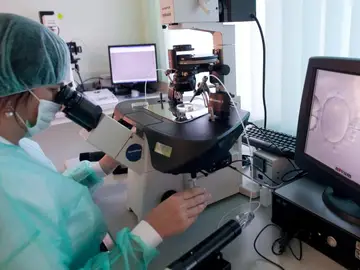 Fecundación in vitro Fecundación in vitro