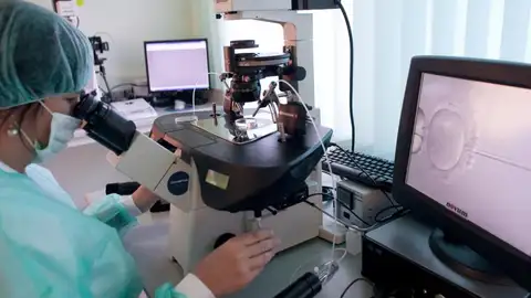 Fecundación in vitro Fecundación in vitro