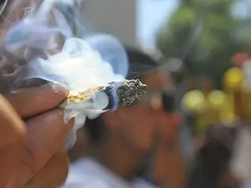El consumo persistente de marihuana antes de los 18 años causa daños El consumo persistente de marihuana antes de los 18 años causa daños