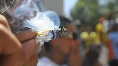 El consumo persistente de marihuana antes de los 18 años causa daños El consumo persistente de marihuana antes de los 18 años causa daños