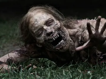 The Walking Dead The Walking Dead