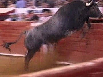 Un toro salta en la plaza de Ciudad de México