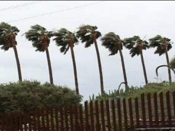 La Palma, La Gomera y El Hierro: Las peor paradas