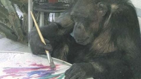 Jimmy, el mono pintor