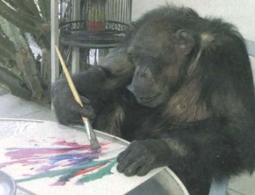 Jimmy, el mono pintor, prepara su primera exposición
